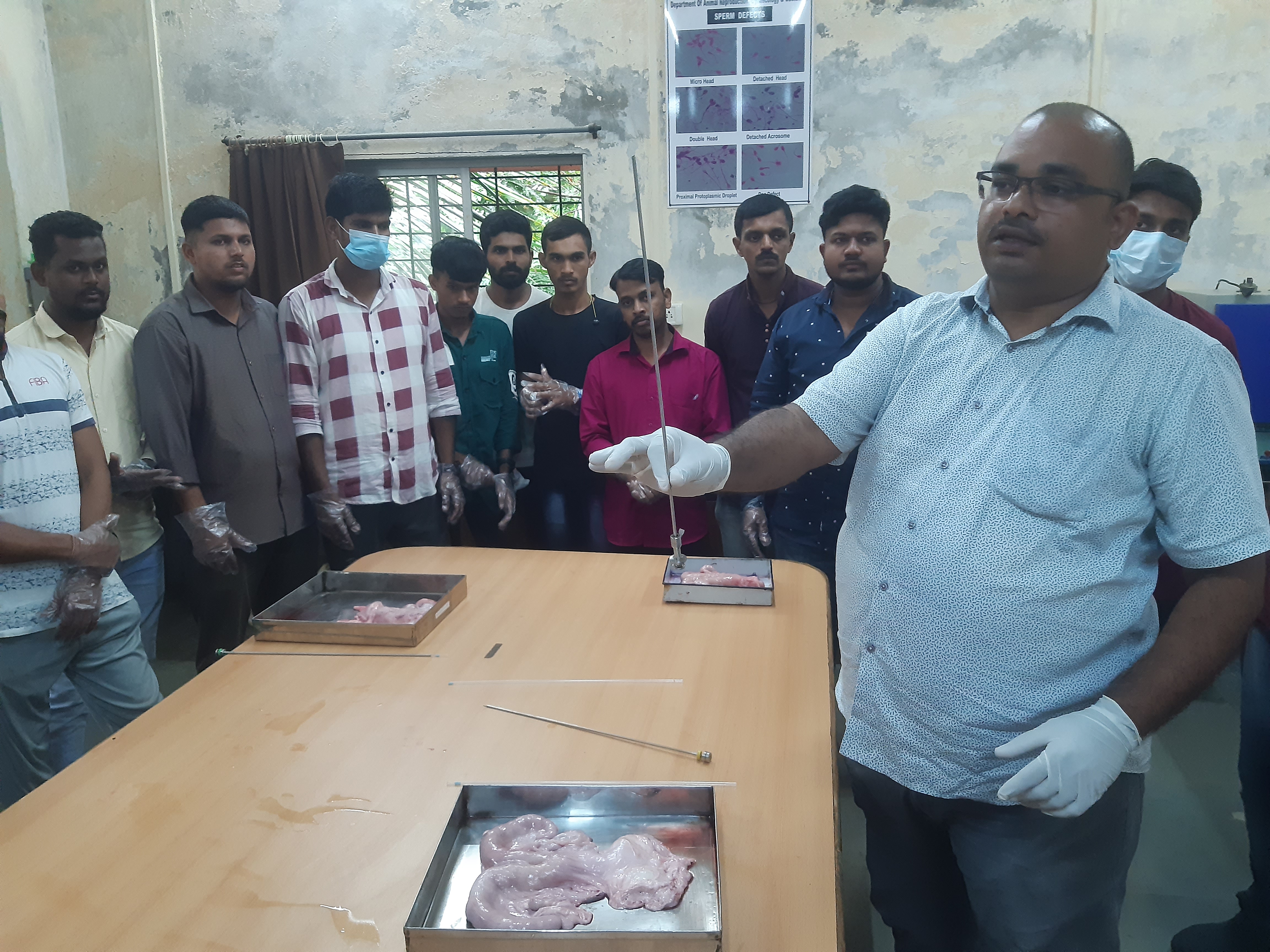 Demonstration Of Passing Of AI Gun On Bovine Morbid Organ To UG PG Students.